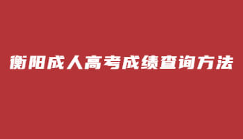 衡阳成人高考成绩查询方法