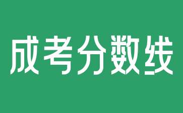 2024年湖南成人高考分数线怎么查询?